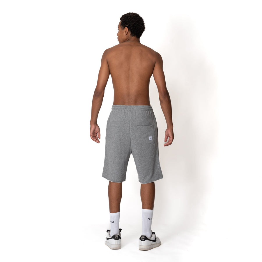Grey trademark shorts  S23